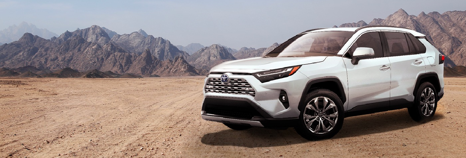 Toyota Riviera Maya in Playa del Carmen Quintana Roo