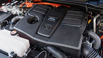 Toyota Riviera Maya in Playa del Carmen Quintana Roo